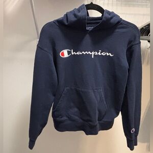 Large, Blue, Champion hoodie